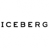 Iceberg